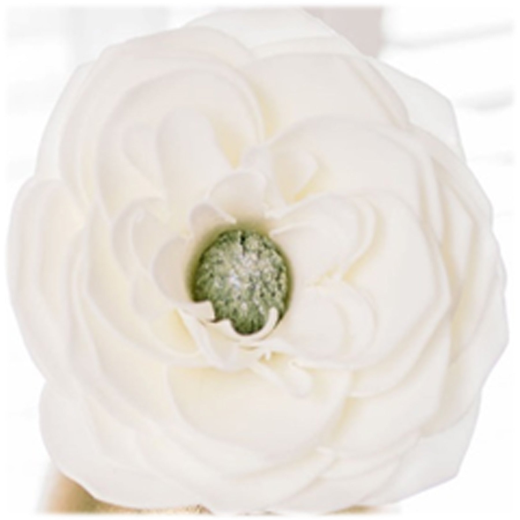 Mississippi Queen Magnolia Flower Soap