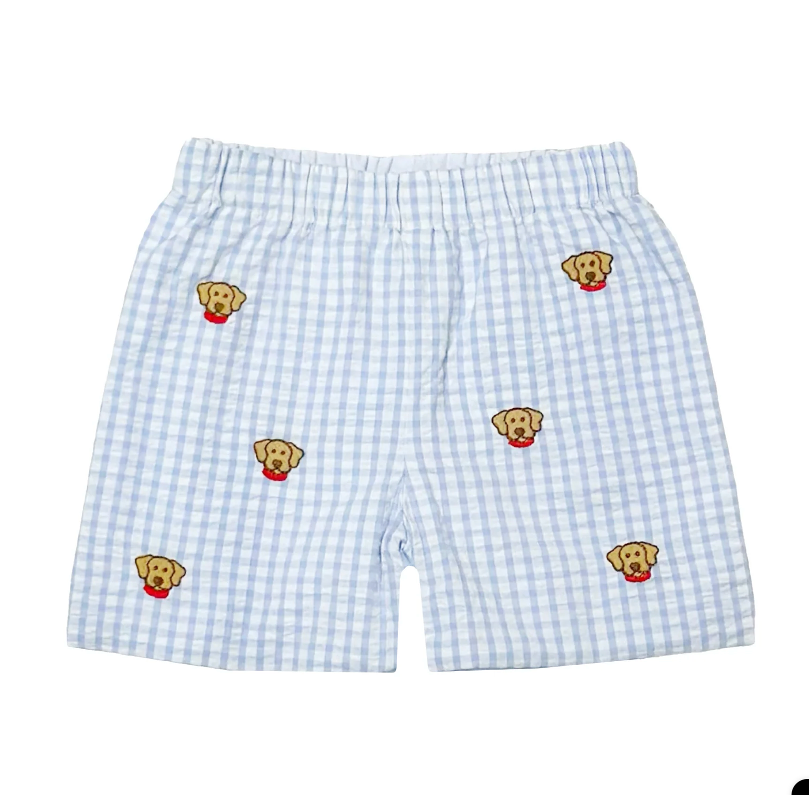 Labrador Leo Short