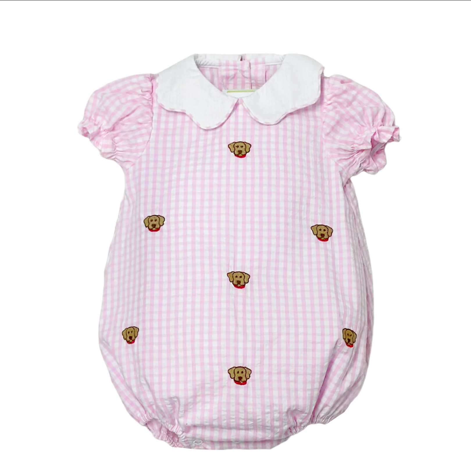 Labrador Bryar Bubble