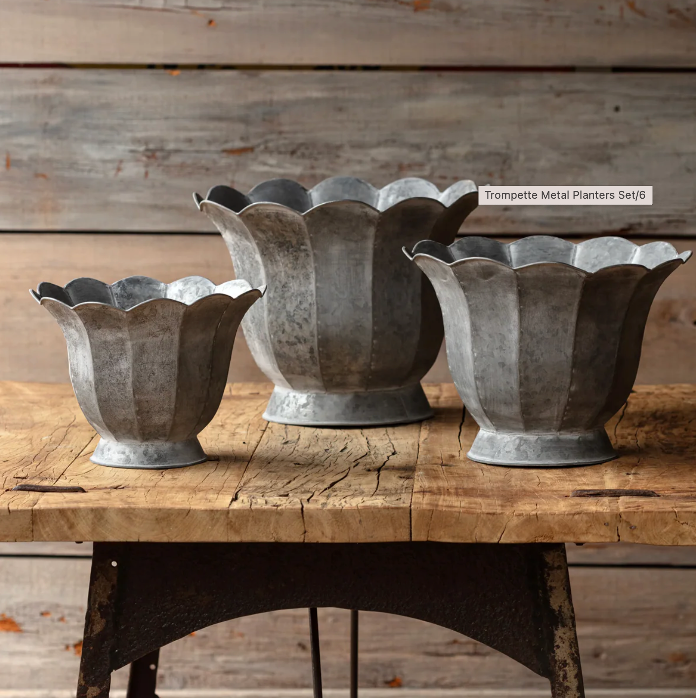Trompette Metal Planters
