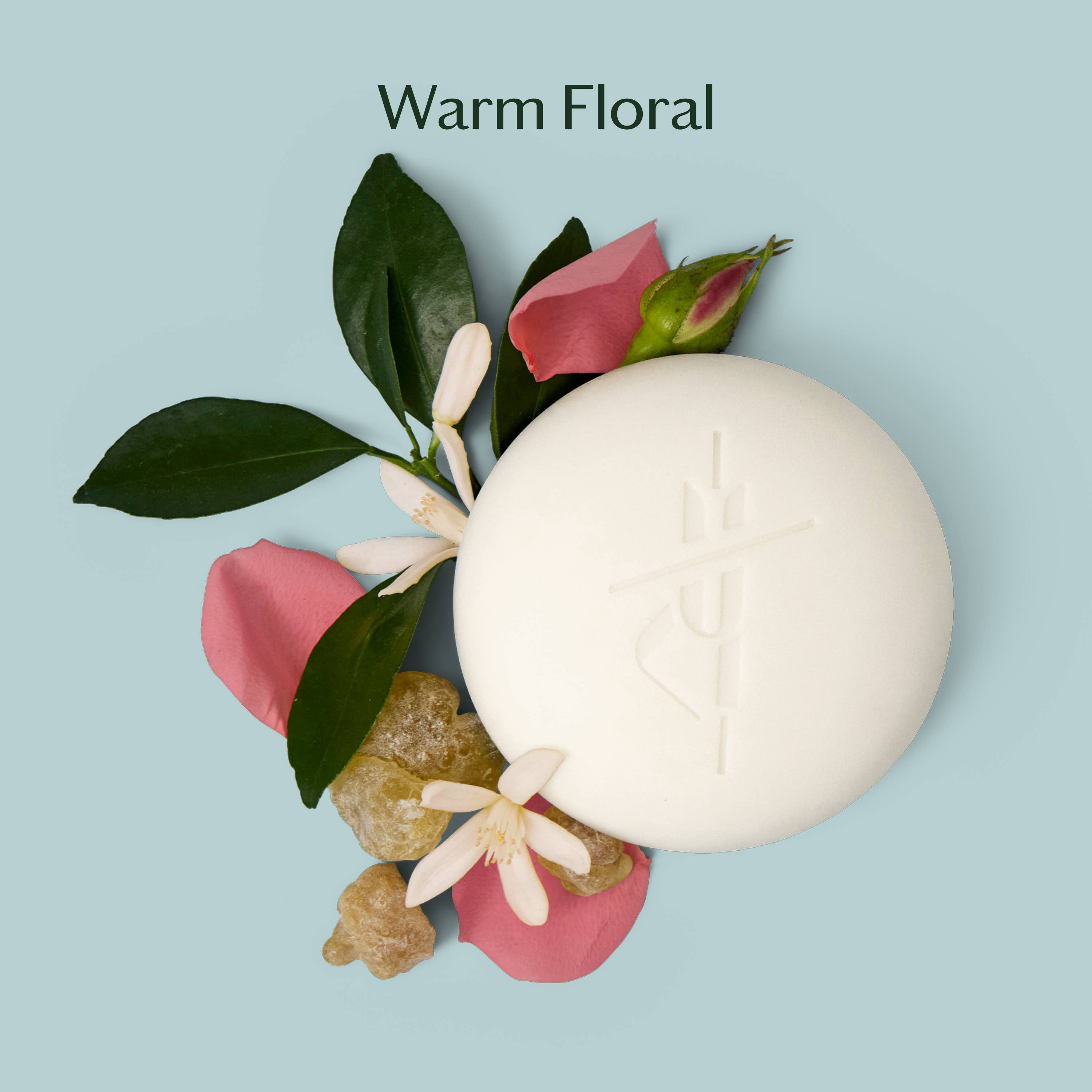Daily Stone | Deep Moisturizing Lotion Bar: Refill (3.5 oz)