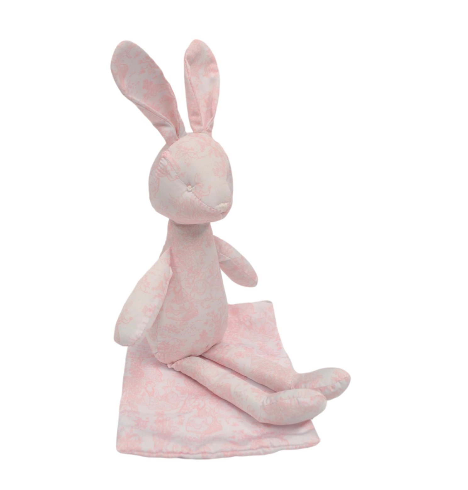 Bun Bun - Toile Bunny