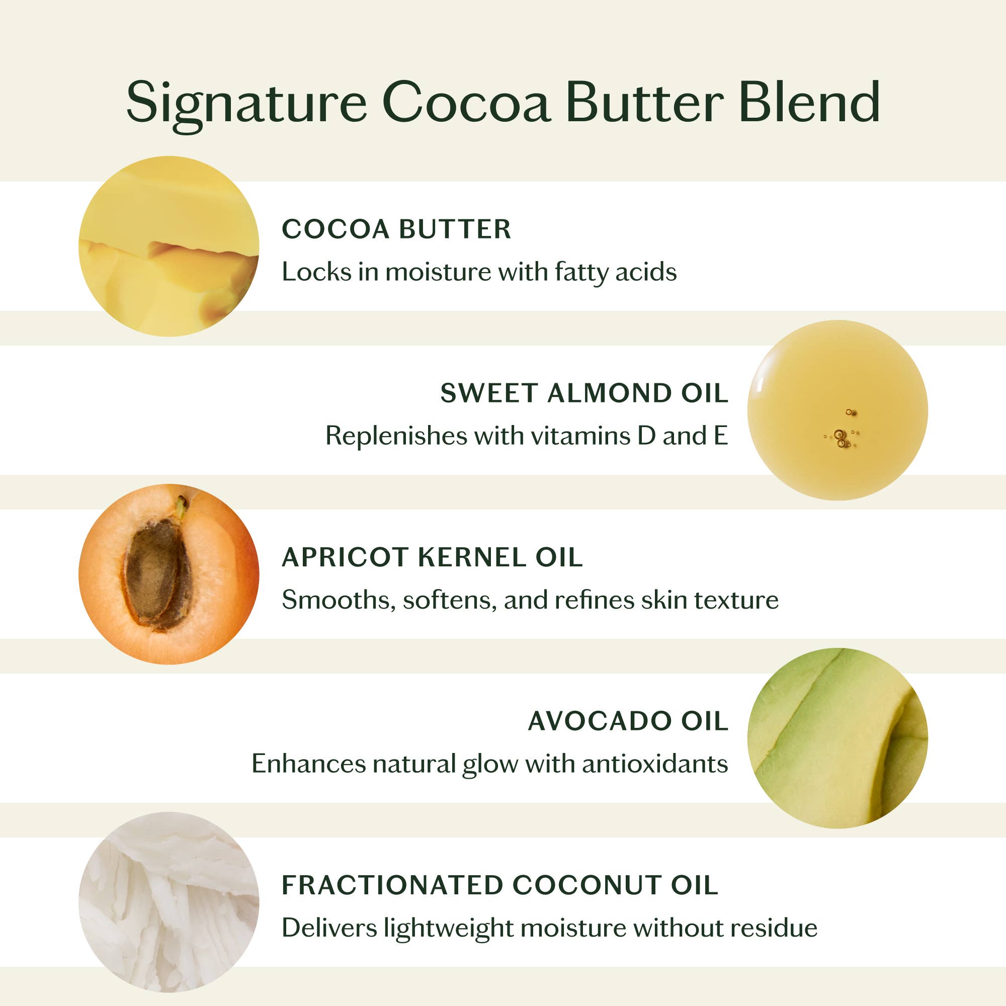 Unscented Stone | Deep Moisturizing Lotion Bar: Starter Kit (3.5 oz)