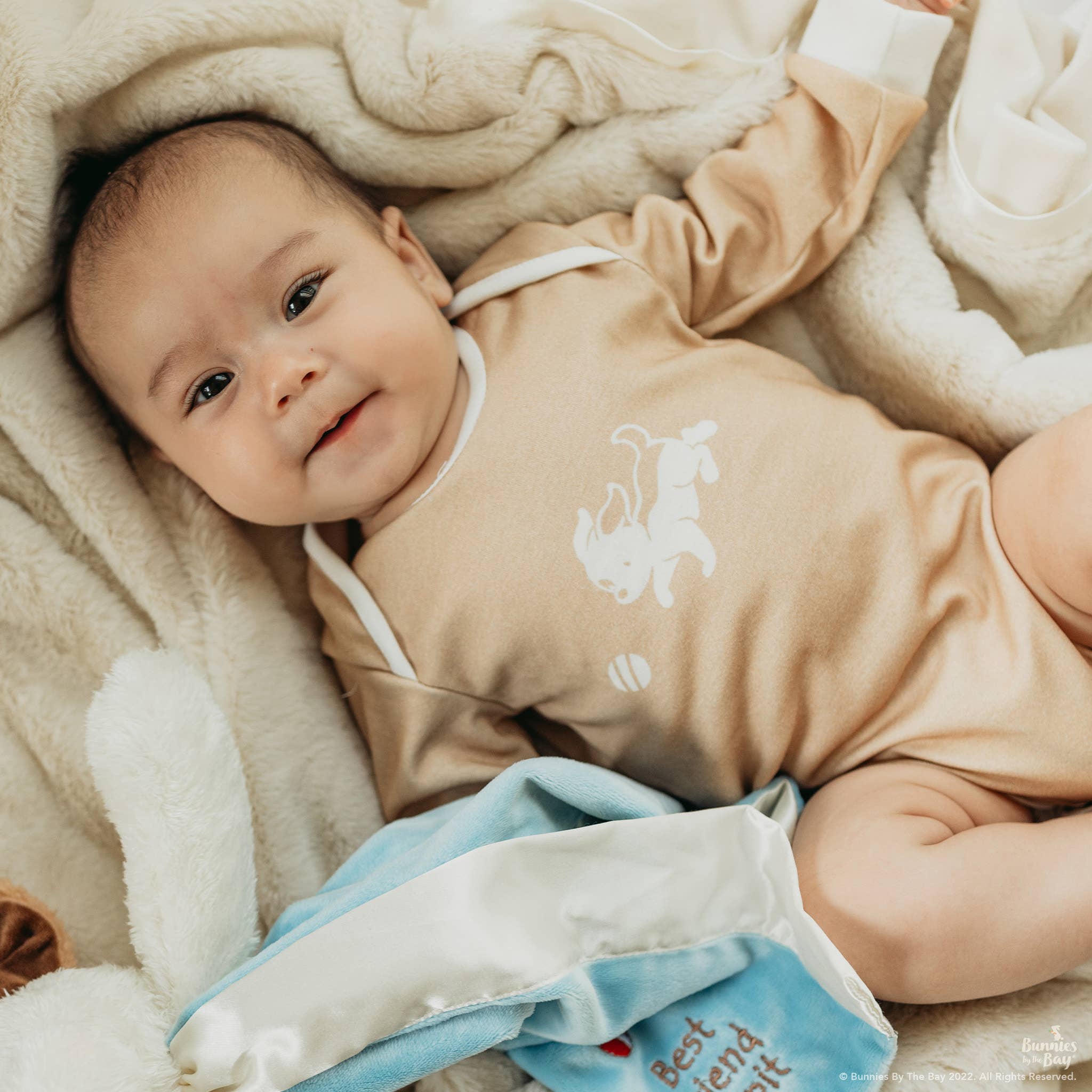 Skipit Puppy Buddy Blanket
